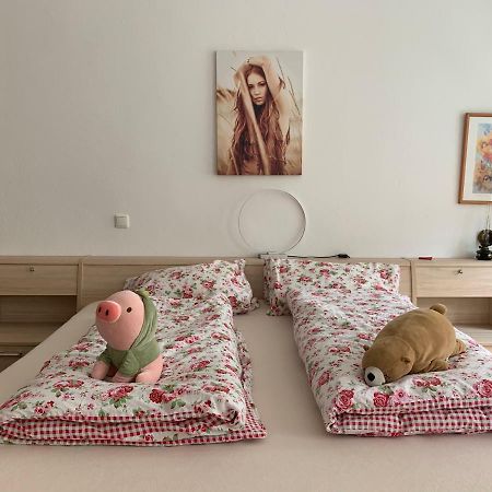 Ferienwohnung Аннаберг-Бухгольц Экстерьер фото